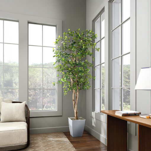 Black Olive Tree in Cardinal Planter 8' - 323844 - Image 2