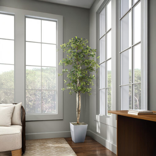 Black Olive Tree in Cardinal Planter 7' - 323846 - Image 2