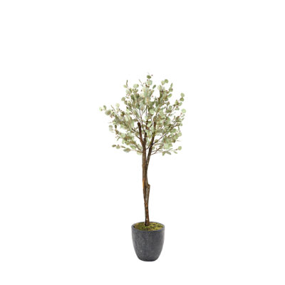 Seeded Eucalyptus Tree in Hudson Planter 6.5' - 324803