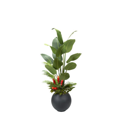 Traveler Palm with Under Planting in Porter Planter 7' - 324903
