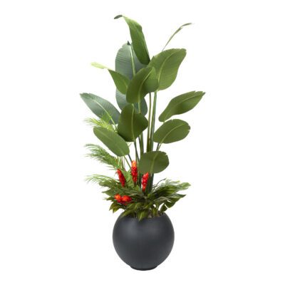 Traveler Palm with Under Planting in Porter Planter 7' - 324903