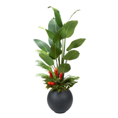 Traveler Palm with Under Planting in Black Porter Planter 7' - 324903