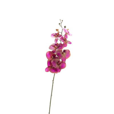 Lavender Orchid Stem - FL2585