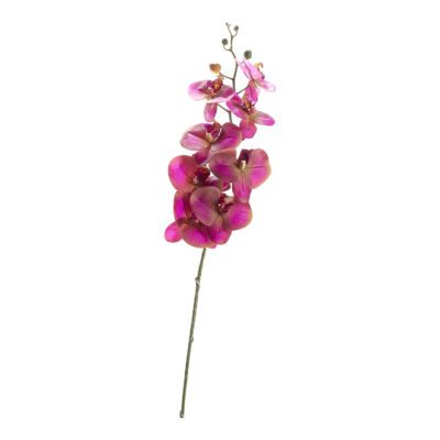Lavender Orchid Stem - FL2585