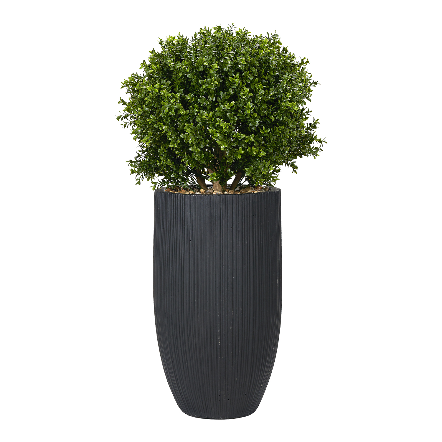Overgrown Boxwood Ball in Nell Planter 3.4' - 1021-3110