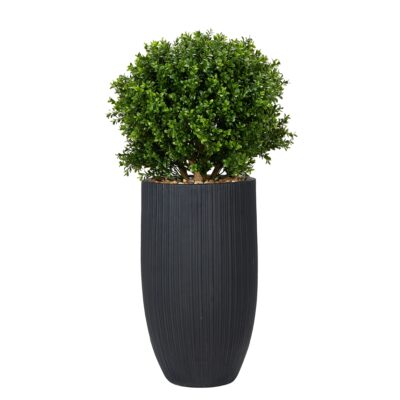 Boxwood Ball in Black Nell Planter - 1021-3110