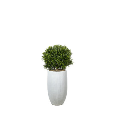 Boxwood Ball in Nell Planter - 1021-3112