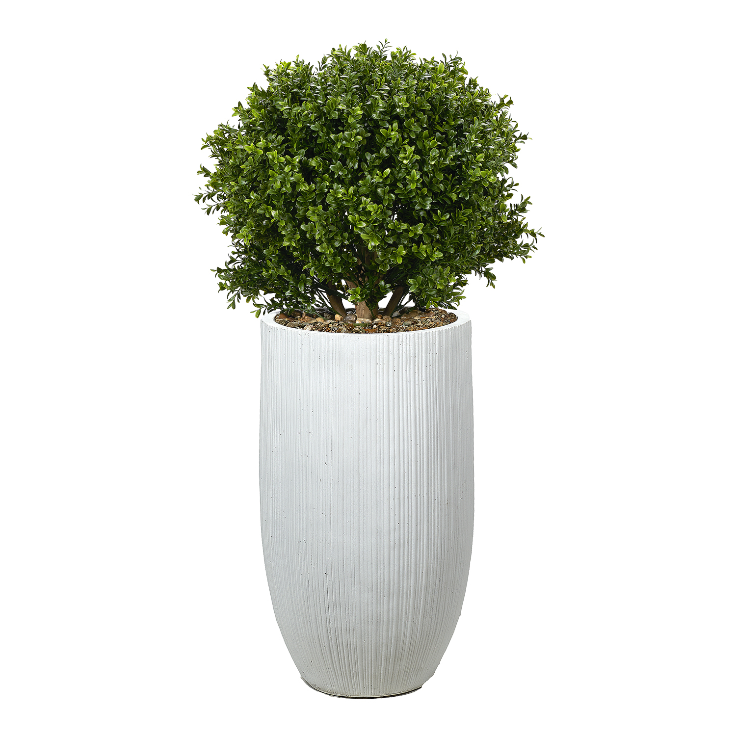 Overgrown Boxwood Ball in Nell Planter 3.4' - 1021-3112
