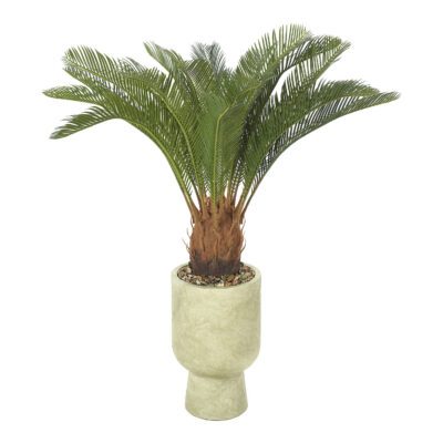 Sago Cycas Palm in Romelia Vase 3.2' - 1027-3115