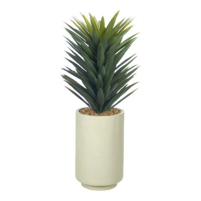 Small Agave Sisalana in Rainey Vase - 1028-3107
