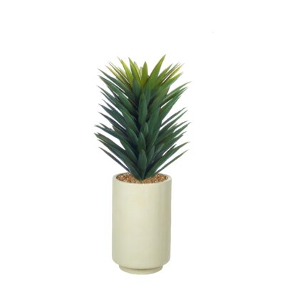 Small Agave Sisalana in Rainey Vase - 1028-3107
