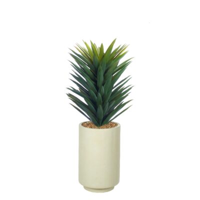 Small Agave Sisalana in Rainey Vase - 1028-3107