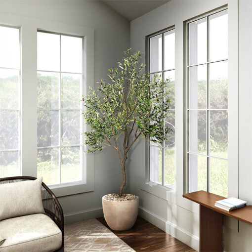 Olive Tree 9' - 1035 - Image 11