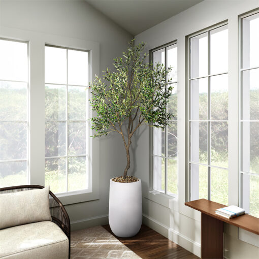 Olive Tree 9' - 1035 - Image 10