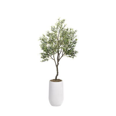 Olive Tree in Quinn Planter 9' - 1035-2534
