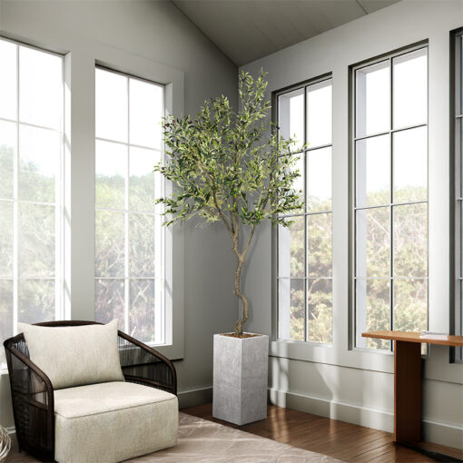 Olive Tree 9' - 1035 - Image 6