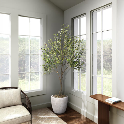 Olive Tree in Hudson Planter 8' - 1035-2817 - Image 2