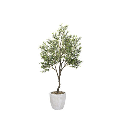 Olive Tree in Hudson Planter 8' - 1035-2817