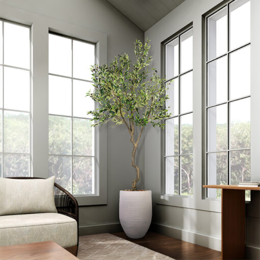 Olive Tree 9' - 1035 - Image 2