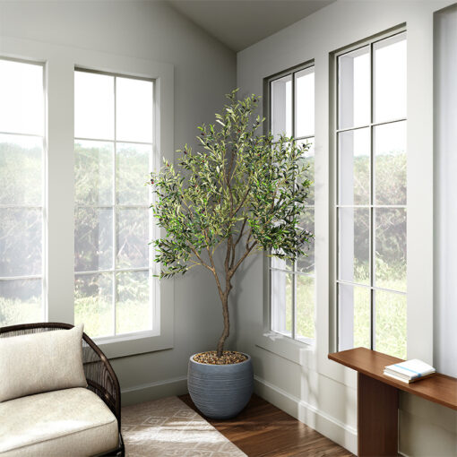 Olive Tree 9' - 1035 - Image 13