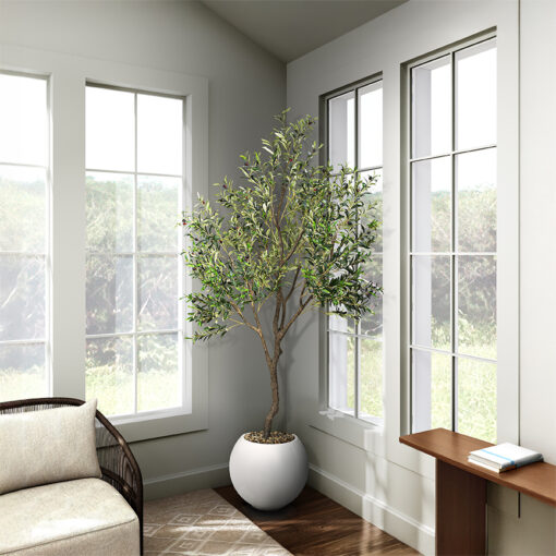 Olive Tree 9' - 1035 - Image 8