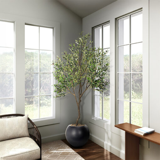 Olive Tree in Porter Planter 8' - 1035-3106 - Image 2