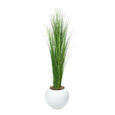 Onion Grass in White Porter Planter - 1617-3104