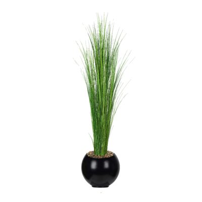 Onion Grass in Black Porter Planter - 1617-3106