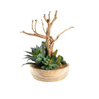 Ghostwood and Mixed Succulents in Ambrose Planter - 249001