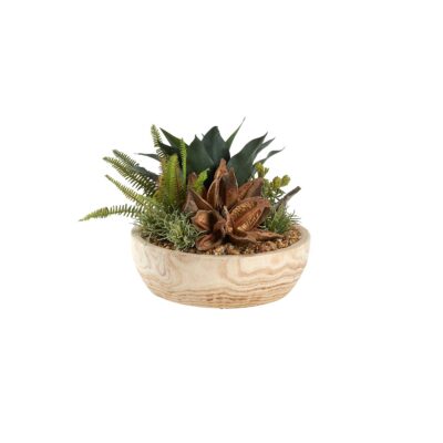 Star Pod, Fern & Assorted Succulents in Ambrose Planter - 249002
