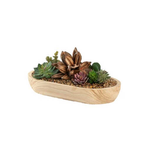 Star Pod, Echeveria, and Assorted Succulents in Oval Ambrose Planter - 249003