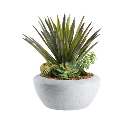Agave and Assorted Succulents in Triad Planter - 249004