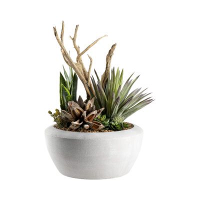Ghostwood, Agave and Assorted Succulents in Triad Planter - 249010