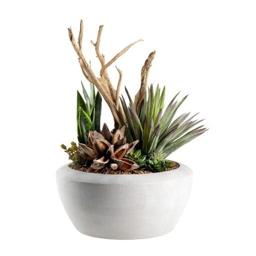 Ghostwood, Agave, and Mixed Succulents in Triad Planter - 249010