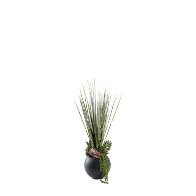 Horsetail Reed, Onion Grass, and Assorted Succulents in Porter Vase - 249011