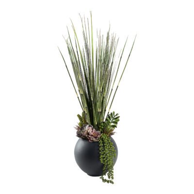 Horsetail Reed, Onion Grass, & Assorted Succulents in Porter Vase 3.5' - 249011