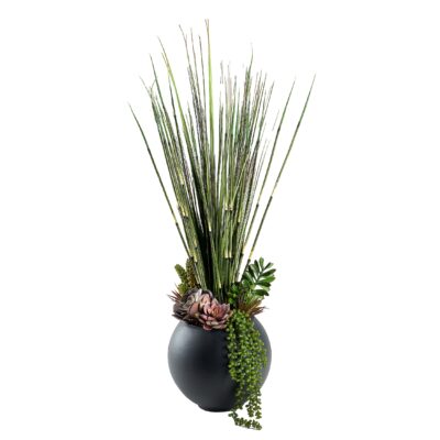 Horsetail Reed, Onion Grass, and Assorted Succulents in Black Porter Vase - 249011