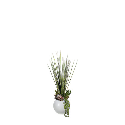 Horsetail Reed, Onion Grass, and Assorted Succulents in Porter Vase - 249012