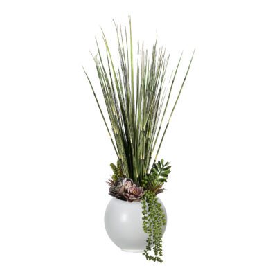 Horsetail Reed, Onion Grass, & Assorted Succulents in Porter Vase 3.5' - 249012