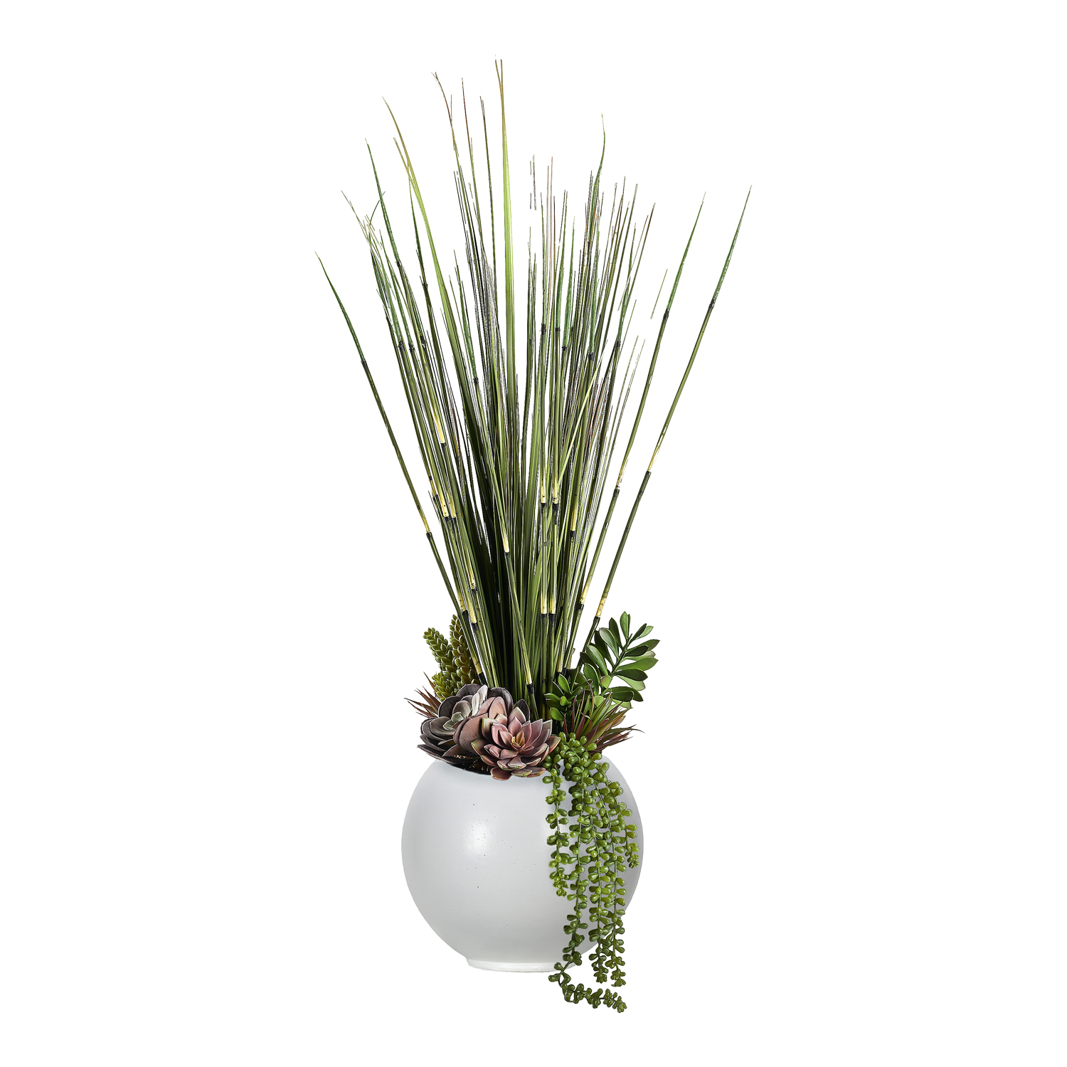 Horsetail Reed, Onion Grass, & Assorted Succulents in Porter Vase 3.5' - 249012
