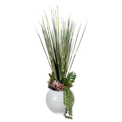 Horsetail Reed, Onion Grass, and Assorted Succulents in White Porter Vase - 249012