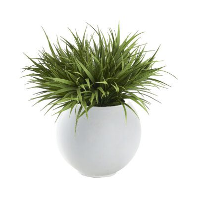 Grass in White Porter Planter - 249014