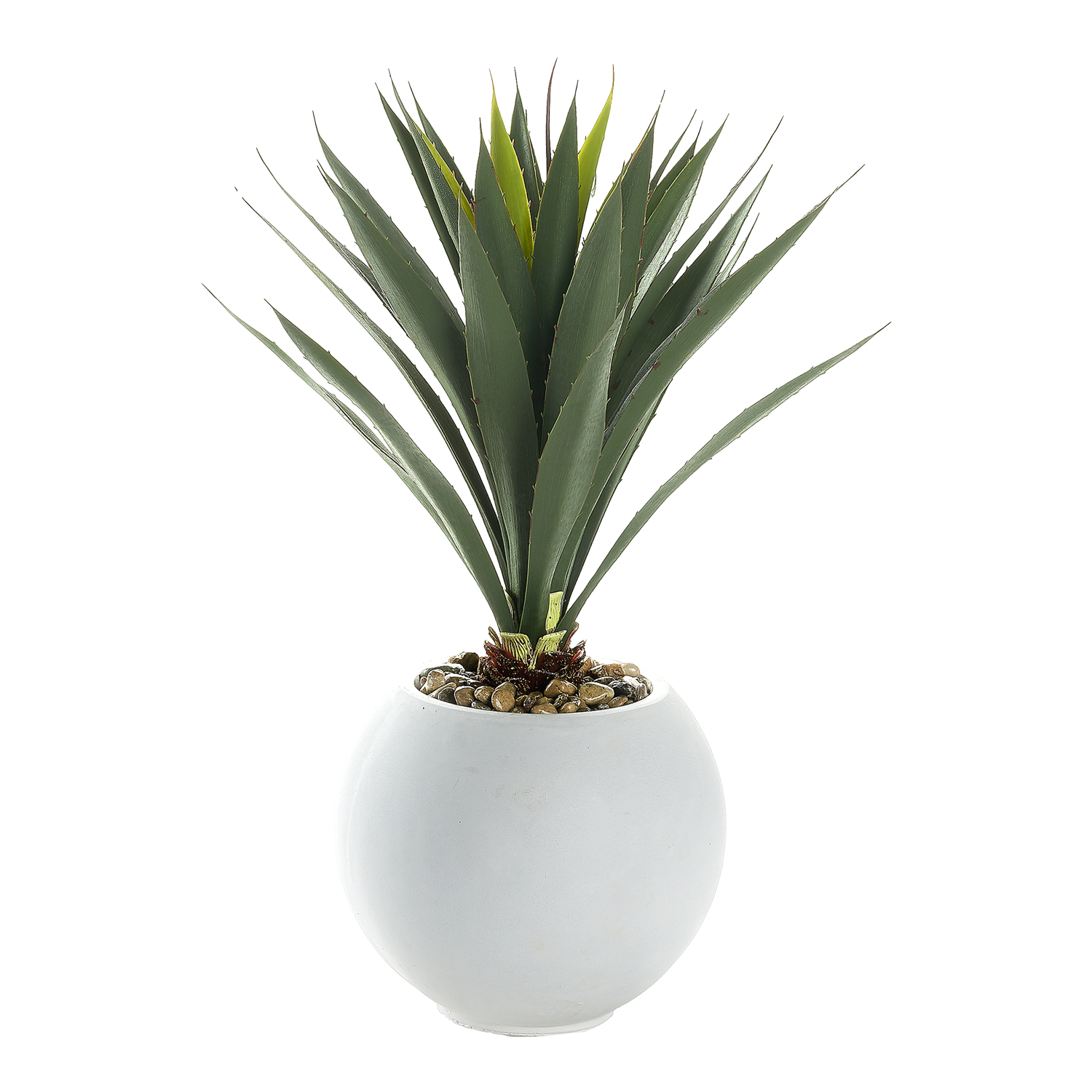 Yucca Plant in White Porter Planter - 249015