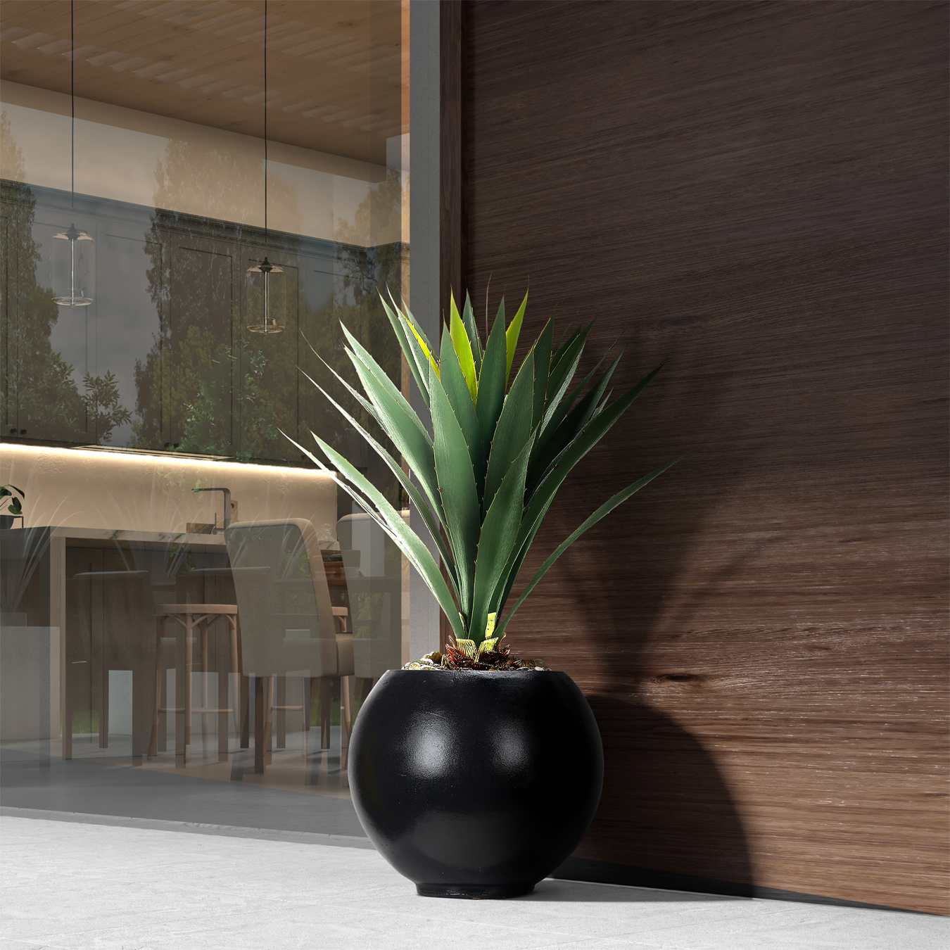 Yucca Plant in Black Porter Planter - 249016 - Image 2