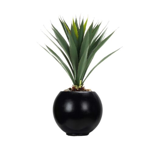 Yucca Plant in Black Porter Planter - 249016