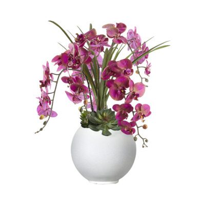 Orchids and Echeverias in White Porter Planter - 249019