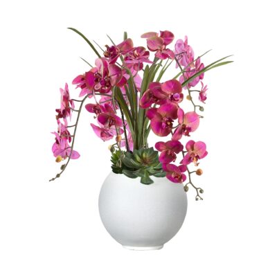 Lavender Orchids and Echeverias in White Porter Planter - 249019