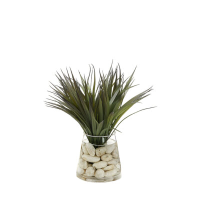 Grass in Tapered Glass Vase - 249030