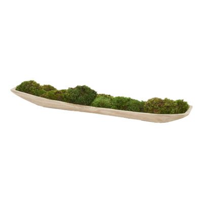 Mood Moss in Fortune Planter - 249045