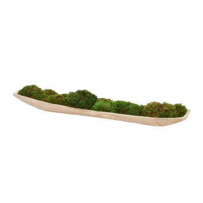 Mood Moss in Fortune Planter - 249045